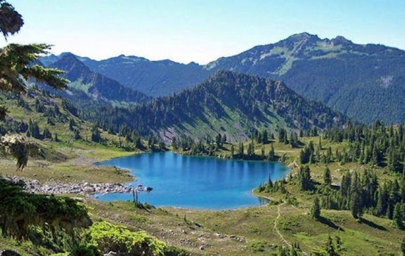 montagne della sila parco 570