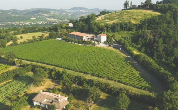 oinoe vini 570