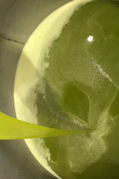olio olive nocellara 3 570