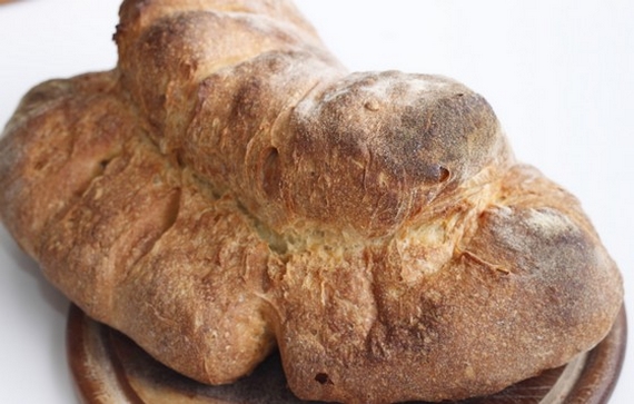 pane matera 1 570