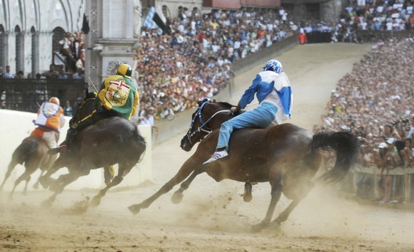 panforte siena igp palio