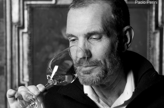 paolo perini enologo fep wine 570