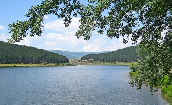 parco nazionale sila liquirizia 570