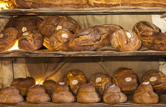 parete forno pane altamura 570