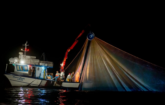 pesca alici dop 570 ph Matteo Giordano
