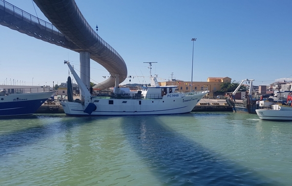 pescara ponte porto 570