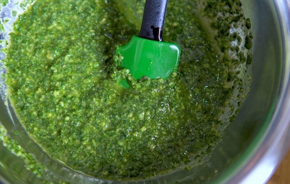 pesto bottura contenitore 570