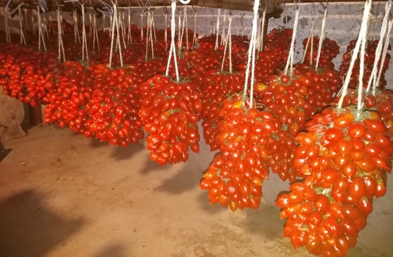 pomodorini piennolo 2 570 ok