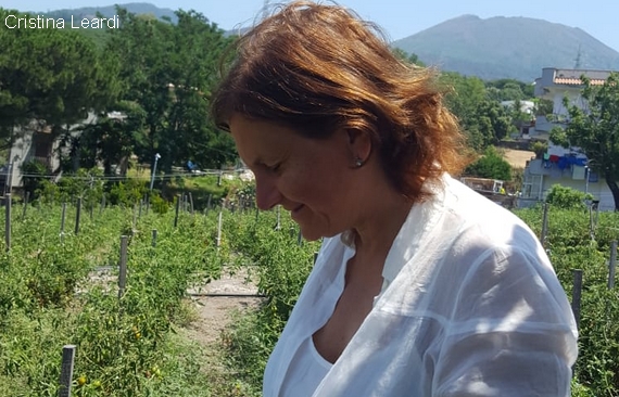presidente consorzio tutela pomodorino piennolo txt 570
