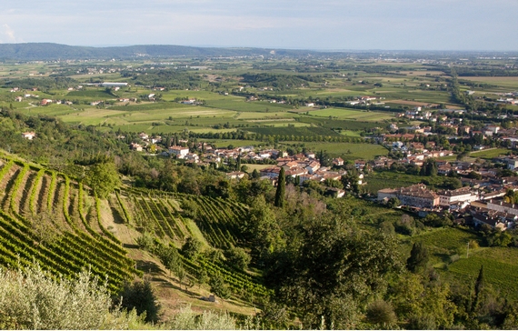prosciutto san daniele paesaggio 570