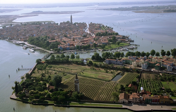 tenuta venissa isola di mazzorbo 570