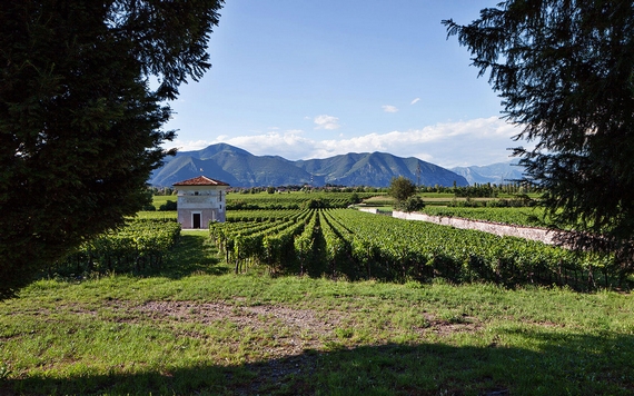 territorio franciacorta BERLUCCHI 570