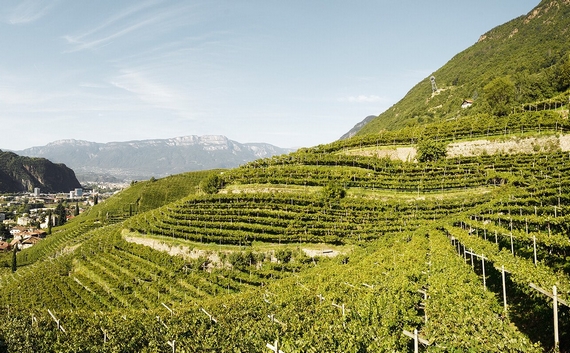 vigneti lagrein lagen taber 570