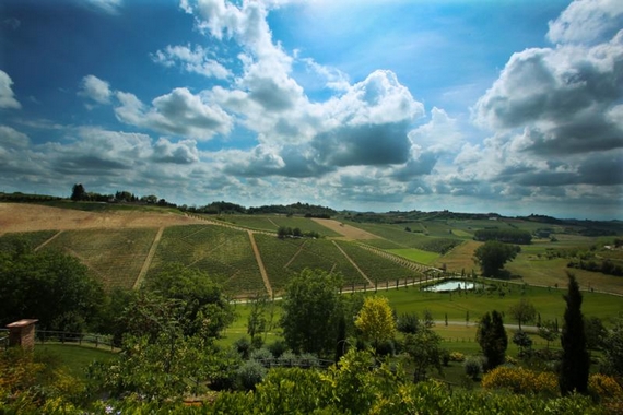 4 vigneti panoramicatenuta santa caterina