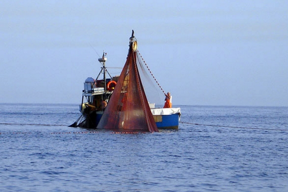 Acciughe Sotto Sale pesca 570