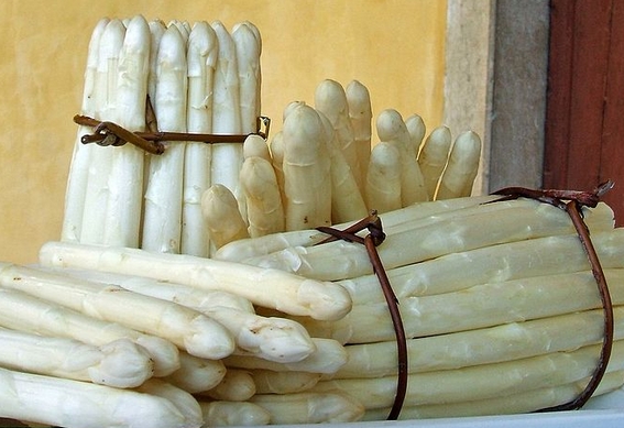Asparago Bianco di Bassano del Grappa 570