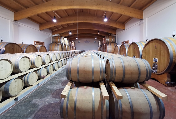 Barriccaia botti 570