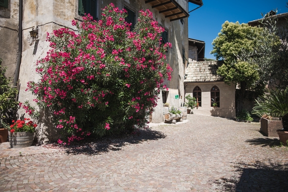 CANTINA RYNNHOF DI TERMENO AZIENDA 1 ESTERNO 57