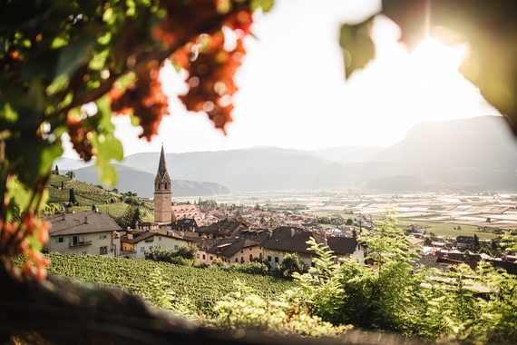 CANTINA RYNNHOF DI TERMENO VISTA 570