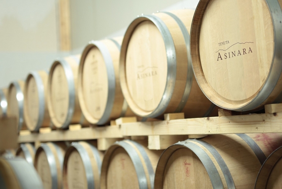 Cantina Tenuta Asinara 1 570