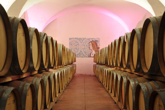 Elena Walch Barrique cellar 2 570