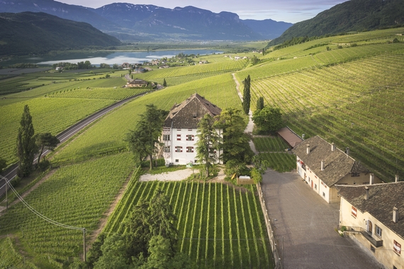 Elena Walch Vigna Castel Ringberg 570