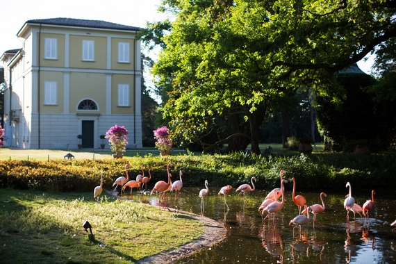 Les Collectionneurs Villa Abbondanzi Resort 1 Marco Onofri 570