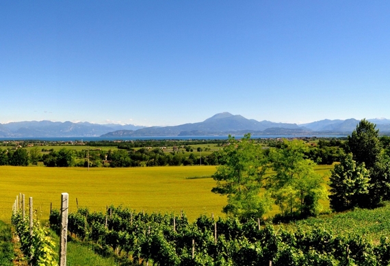Lugana Visit Brescia Wine hospitality travel 570