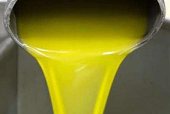 Olio alto crotonese 570