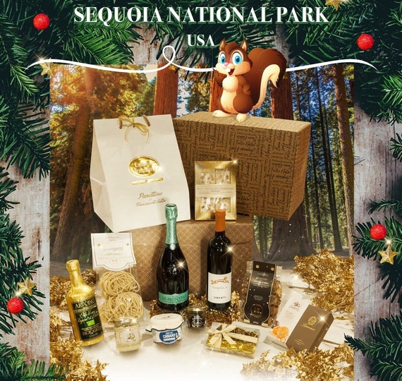 Sequoia National Park franciacorta shop 570