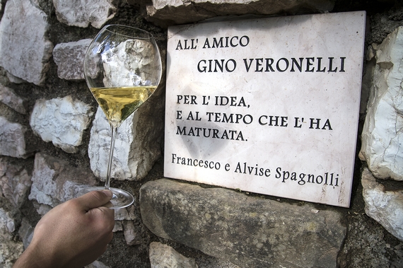 Spagnolli maggio 2021 3 570