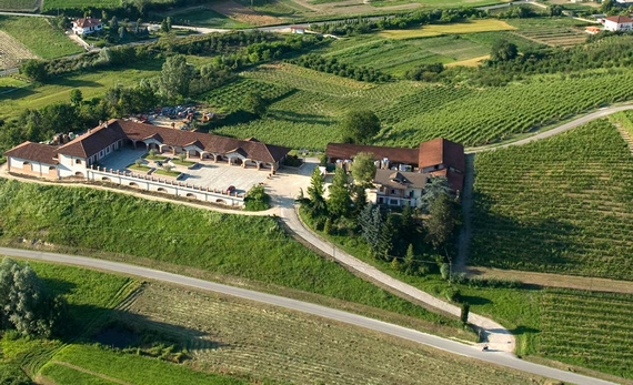 angelo negro azienda 570