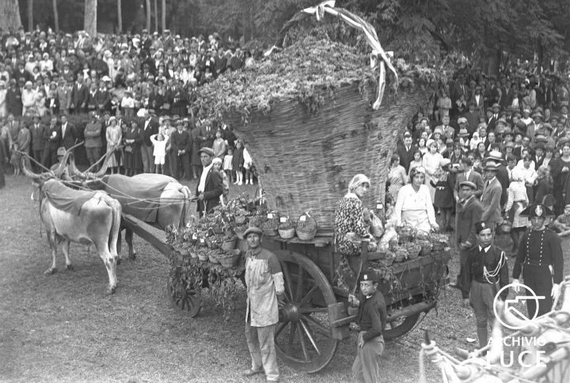 archivio storico luce roma giornata nazionale delluva 28 settembre 1930 570