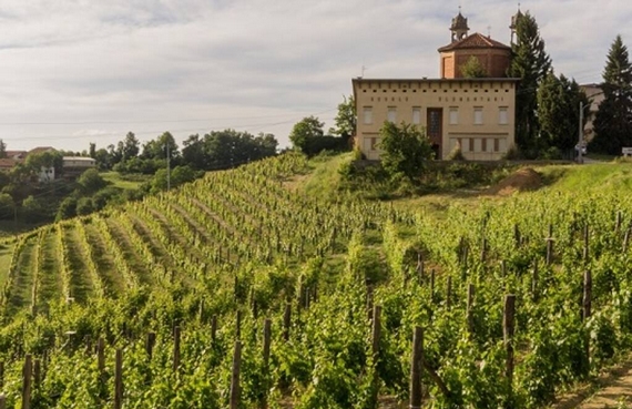 cantina clavesana territorio 570