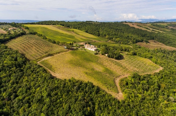carpineto tenuta di montalcino dallalto 570