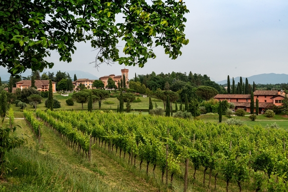 collio pinot bianco spessa 570