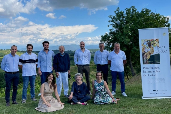 collio progetto pinot bianvo 1 570 itin