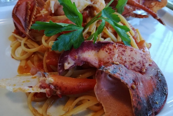 extasy pasta 570