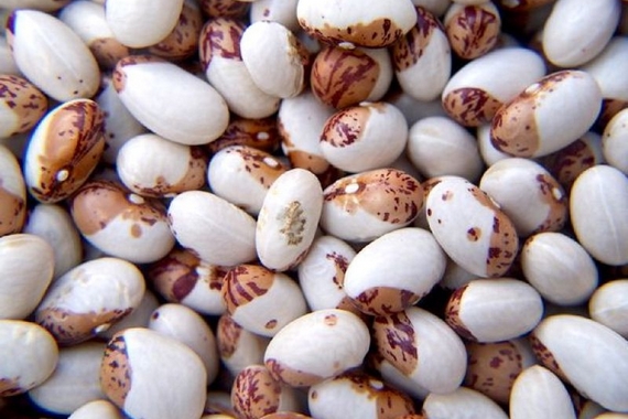 fagioli di sarconi igp 2 570