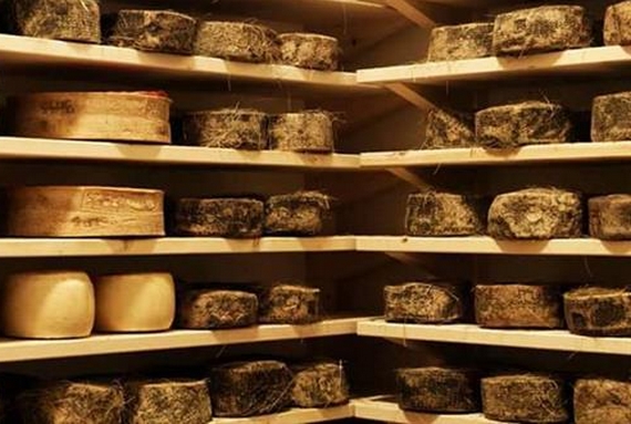formaggi scaffali lacasearia 570