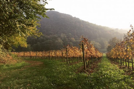 franciacorta cantina vezzoli giuseppe 570
