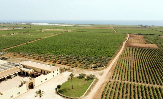gorghi tondi tenuta 570