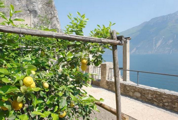 limonaie del garda 570