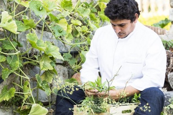 mauro colagreco nel giardino orto de mirazur 570