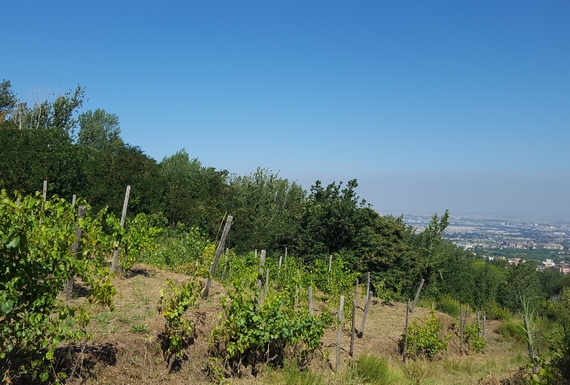 montesommavesuvio 2 itin 570