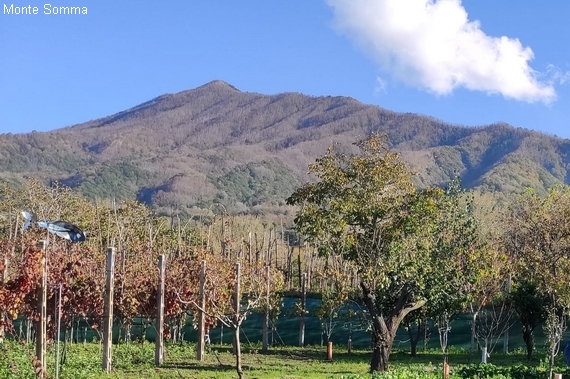 montesommavesuvio monte somma 1 itin 570