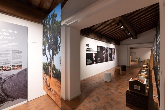 mostra sughero ph. Renato Vettorato 2 570
