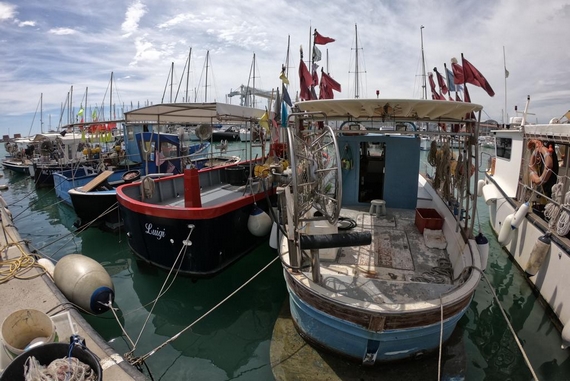 pesca dal mare al fiume 570