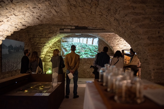 rebo reboro amarone ph Luca Riviera 2 itin 570