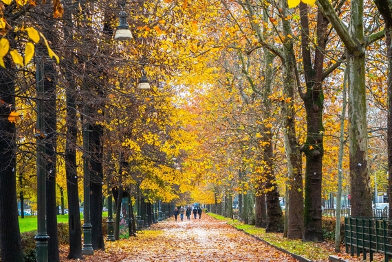 torino foliage al parco del valentino ph murat yildiz unsplash 570